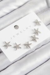Pirinç Zirkon Taşlı Deniz Yıldızı Model Gümüş Renk 925 Ayar Gümüş Çivi Kadın Küpe Set